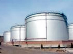 �����Ƽ�