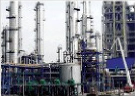 �����Ƽ�