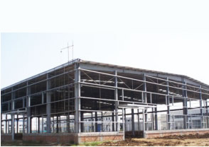 �����Ƽ�