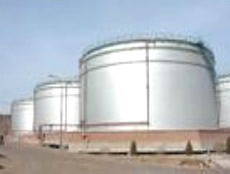 �����Ƽ�