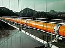 �����Ƽ�