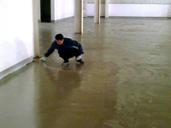 �����Ƽ�