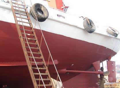 �����Ƽ�